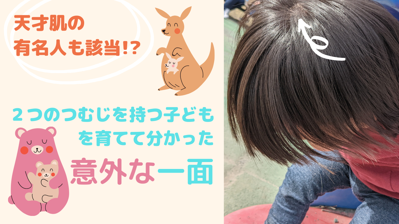 ２つのつむじを持つ子どもを育てて分かった意外な一面【天才肌の有名人も該当！？】