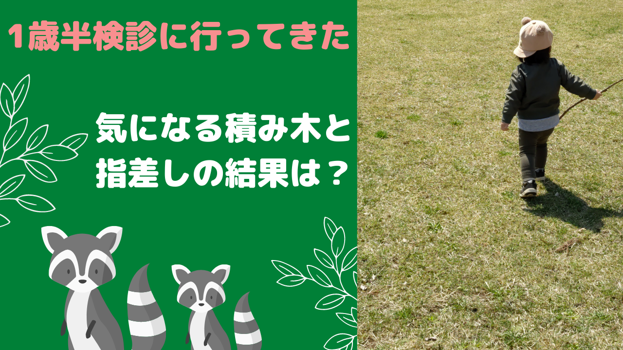 1歳半検診では何をする？気になる全てを報告します！【積み木と指差しの結果】