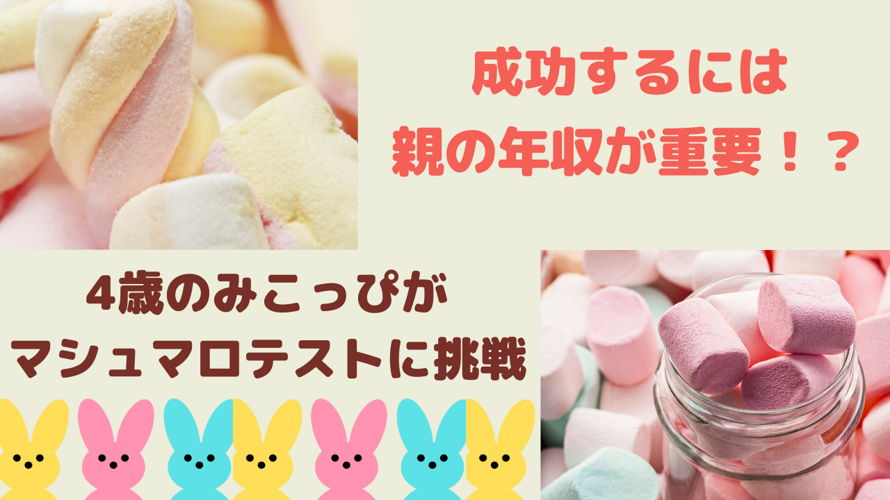 【成功するには親の年収が重要！？】4歳娘がマシュマロテストに挑戦した結果は？