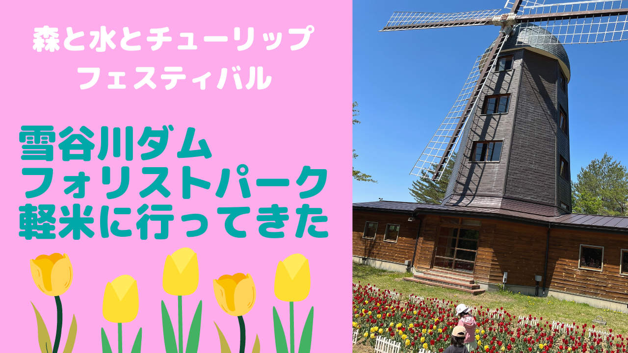 森と水とチューリップフェスティバル【雪谷川ダムフォリストパーク・軽米】に行ってきました！（2022年春）