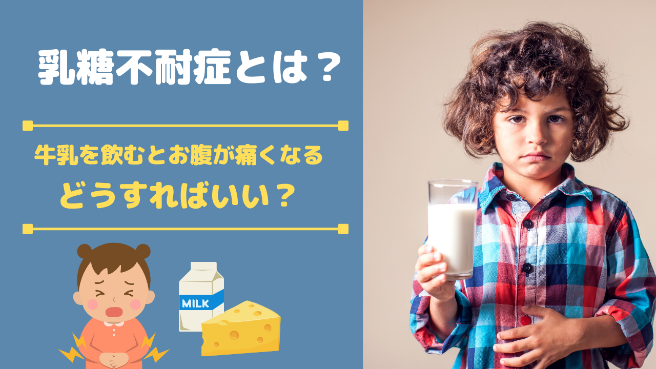 牛乳を飲むとお腹が痛くなる!?【乳糖不耐症とは?】